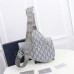 Dior AAA+ Handbags #999924127