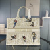 Dior AAA+ Handbags Book Tote #999935382
