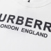 Burberry Hoodies high quality euro size #999926736