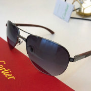 Cartier AAA+ Sunglasses #9875141