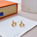 Louis Vuitton earrings Jewelry #9999921513