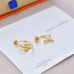Louis Vuitton earrings Jewelry #9999921517