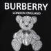 Burberry Hoodies for Men #999909815