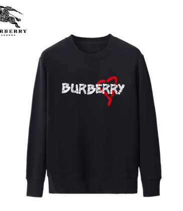 Burberry Hoodies for Men #999923737