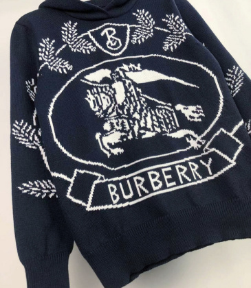 Burberry Hoodies for Men #999930940