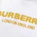 Burberry Hoodies for Men #A28112