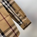 Burberry Shirts for Burberry Men's AAA+ Burberry Long-Sleeved Shirts #A33071