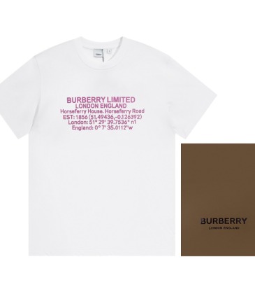 Burberry T-Shirts for Burberry  AAAA T-Shirts #999926237