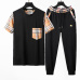 Burberry Tracksuits for Burberry Short Tracksuits for men #999921658