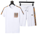 Burberry Tracksuits for Burberry Short Tracksuits for men #A22501