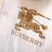 Burberry Tracksuits for Burberry Short Tracksuits for men #A36935