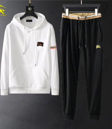 Burberry Tracksuits for Men's long tracksuits #999926615