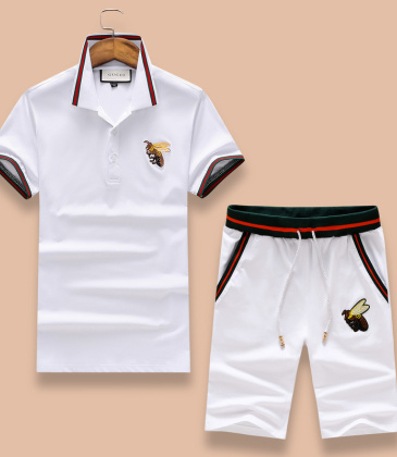 Gucci Tracksuits for Gucci short tracksuits for men #9122368