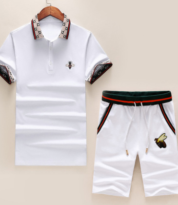 Gucci Tracksuits for Gucci short tracksuits for men #9122719