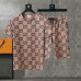 Gucci Tracksuits for Gucci short tracksuits for men #A32589