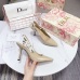 Dior Shoes for Dior High-heeled Shoes for women #999922191