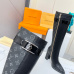 Louis Vuitton Shoes for Women's Louis Vuitton boots #A25989
